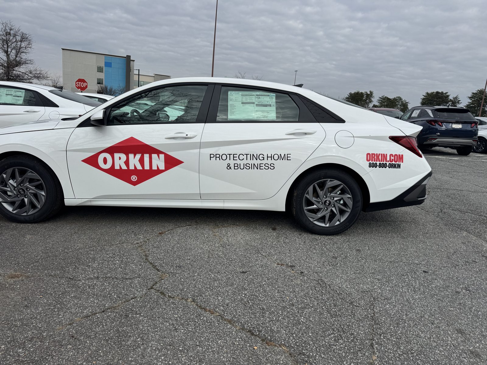 Installation work by 301 Graphics